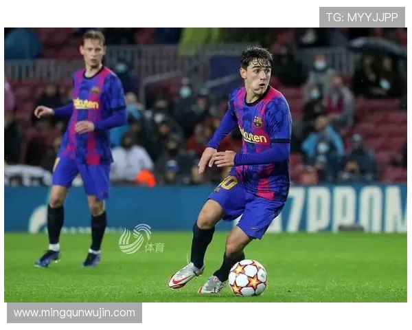 西甲联赛怎么看：西甲联赛观看方式与平台推荐