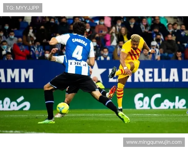 雪缘网提供的西甲积分榜与实时更新特点